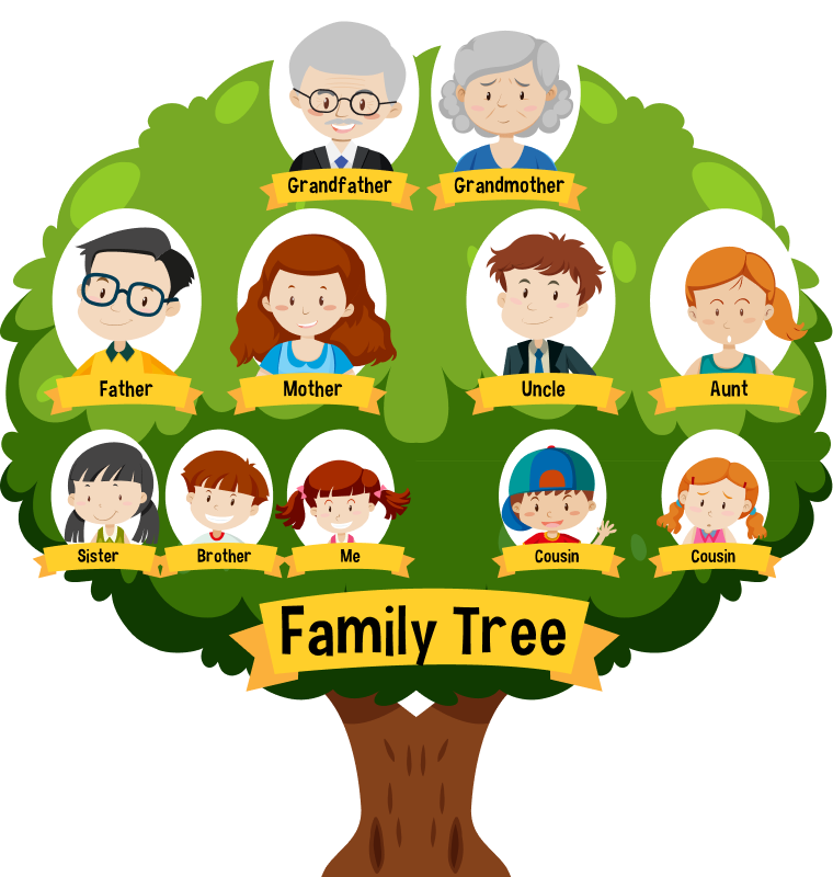 Family Tree Image